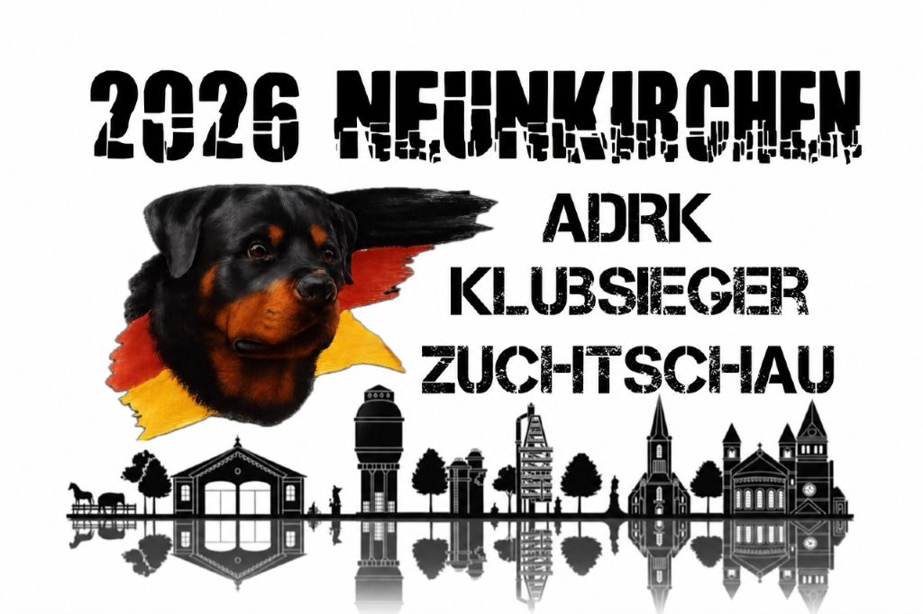 Logo KSZ 2026