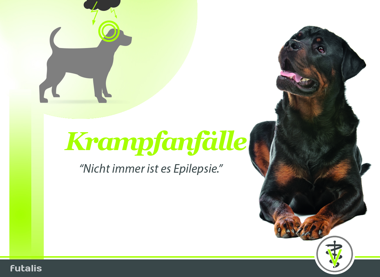 Rottweiler best sale having seizures